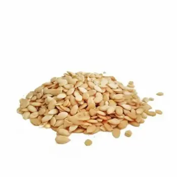 Fresh Watermelon Kernel 